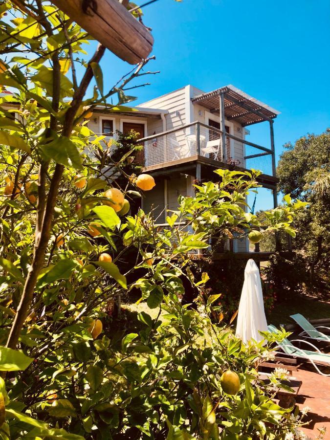 Malta Homestay José Ignacio Extérieur photo