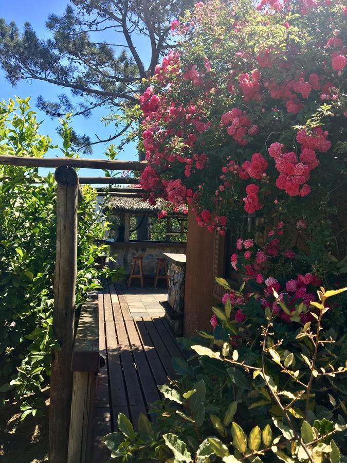 Malta Homestay José Ignacio Extérieur photo